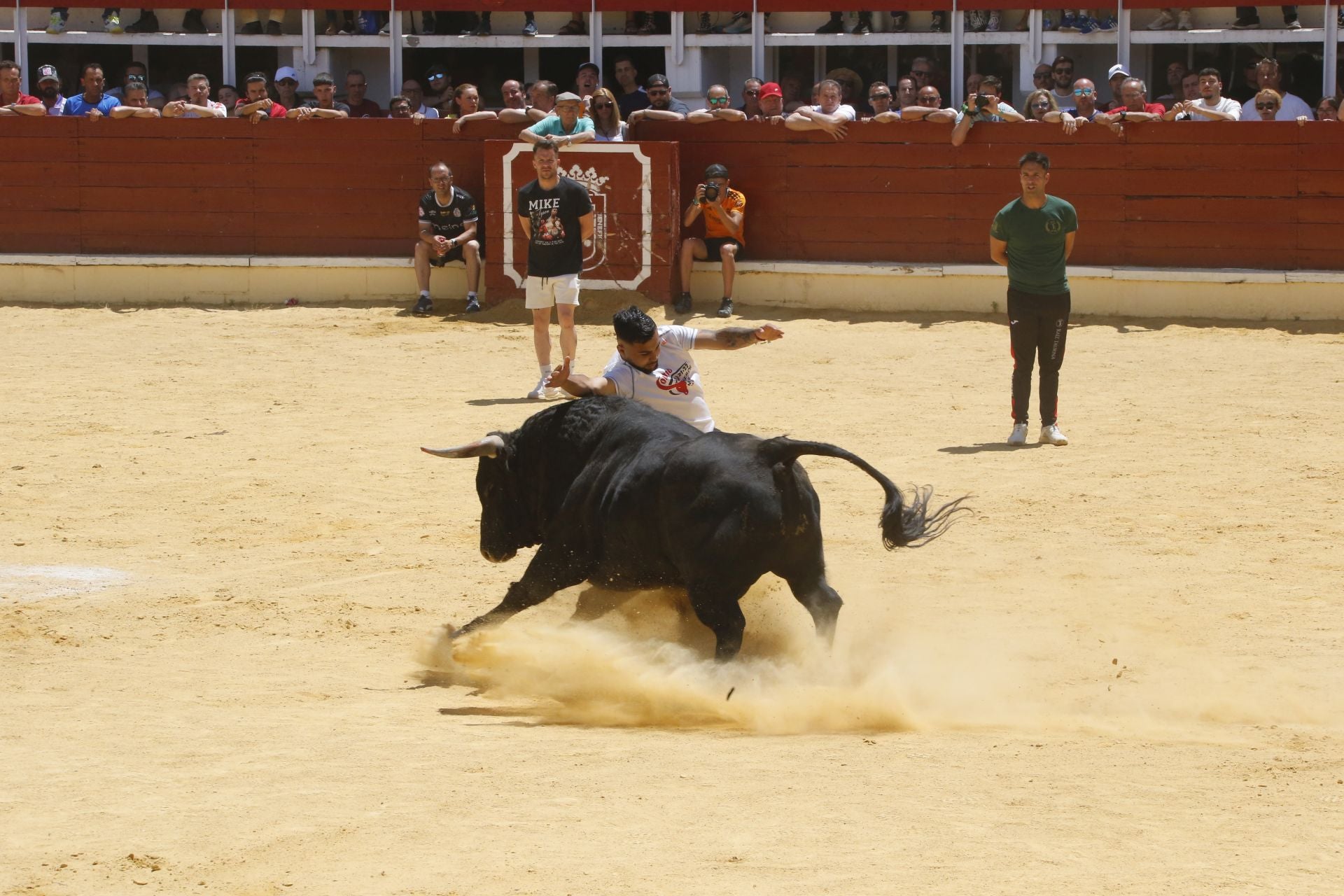 El Congreso Nacional de Toro de Cajón de Medina, en imágenes