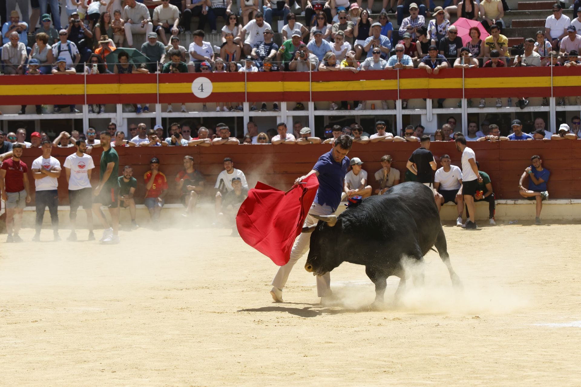 El Congreso Nacional de Toro de Cajón de Medina, en imágenes