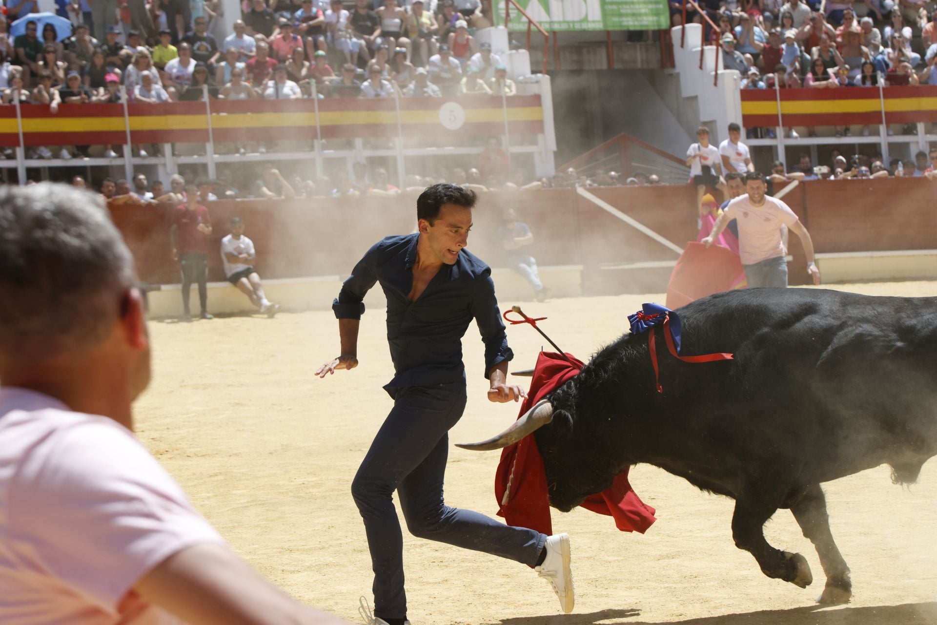 El Congreso Nacional de Toro de Cajón de Medina, en imágenes