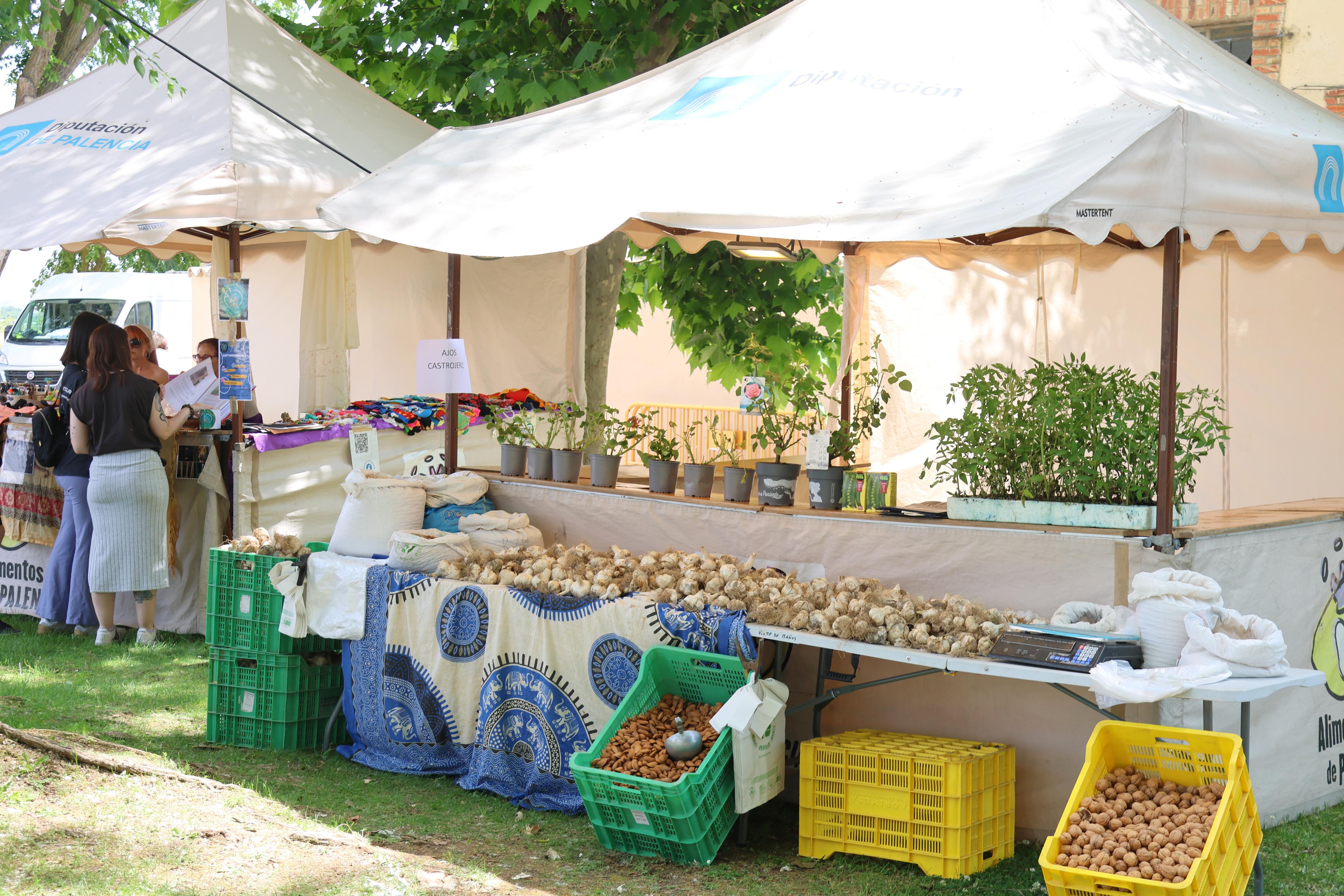 XI Feria Visigoda en Baños de Cerrato