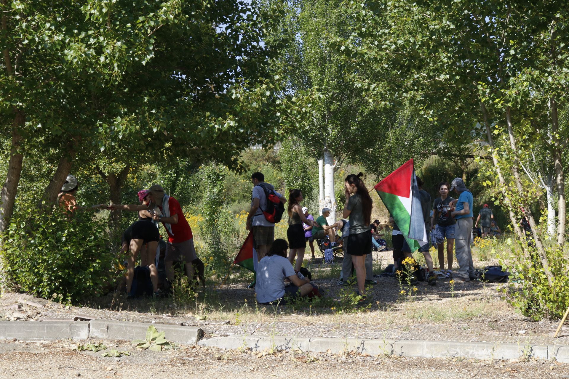 La marcha contra la masacre en Gaza, en imágenes