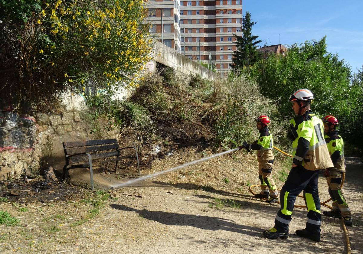 Labores de extinción del incendio en la senda del Palacio de la Ribera.
