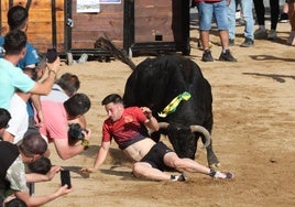 Momento de la cogida.