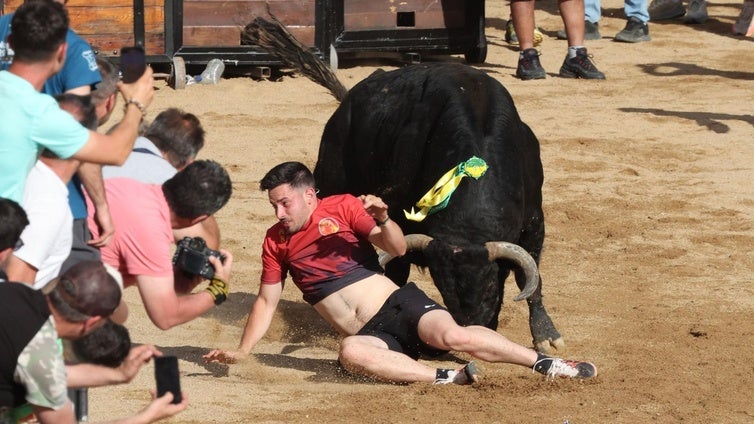 Momento de la cogida.