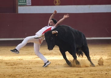 Use, ganador en La Flecha de la primera semifinal de la Liga de Corte