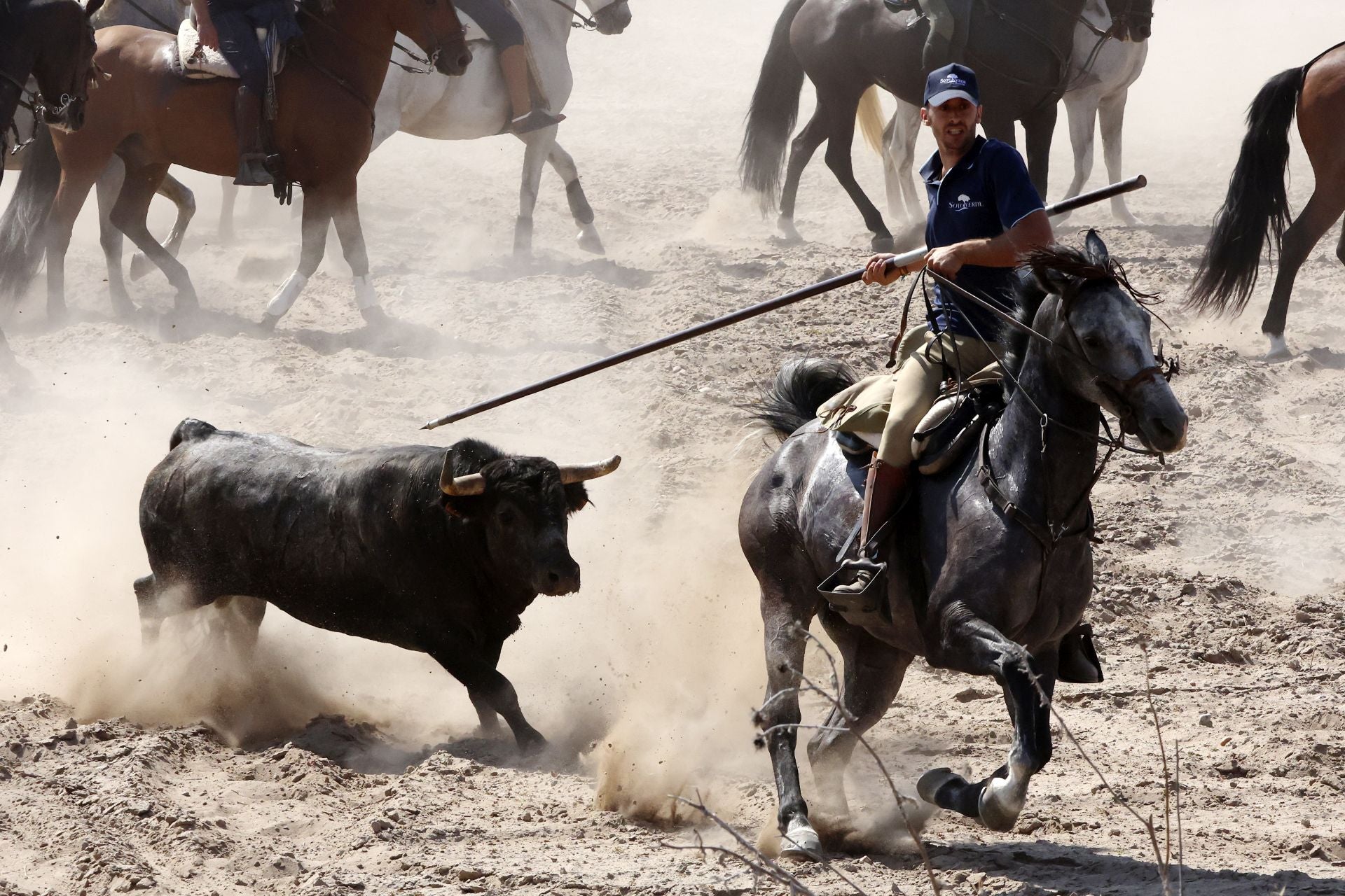Las imágenes del regreso del encierro campero de Villanueva