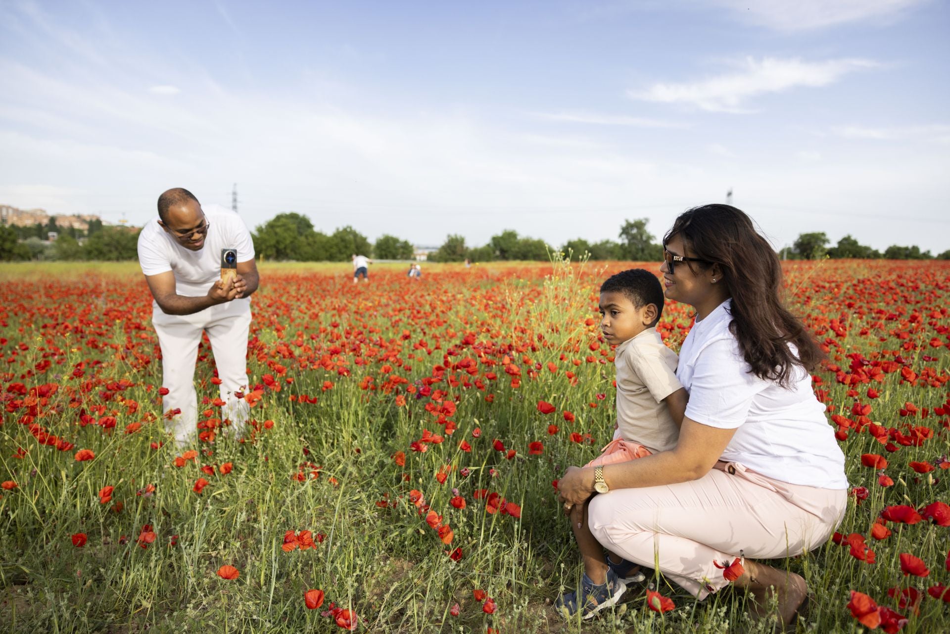 Los campos de amapolas a los que acuden cientos de personas a fotografiarse