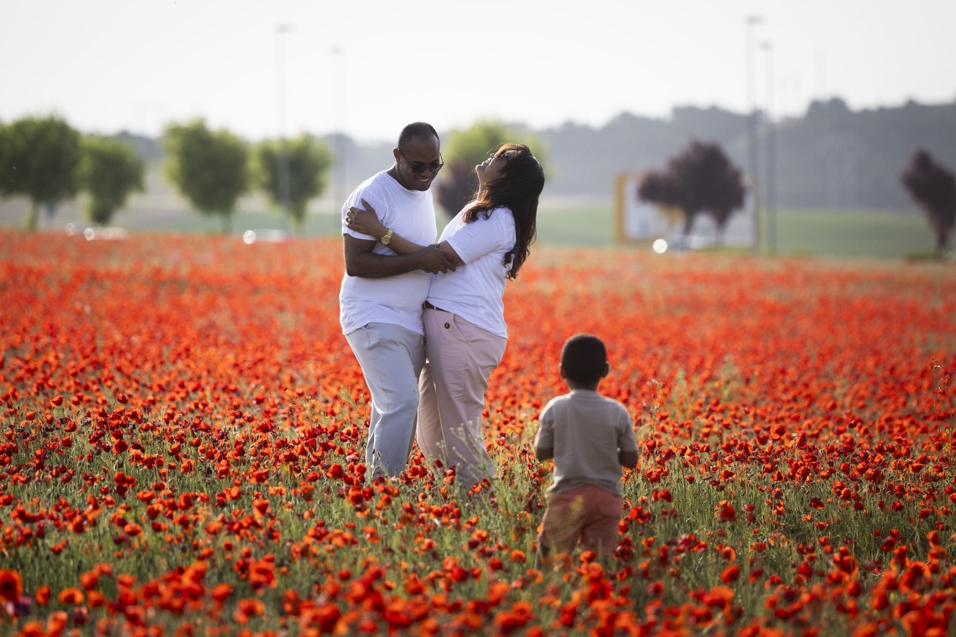 Los campos de amapolas a los que acuden cientos de personas a fotografiarse