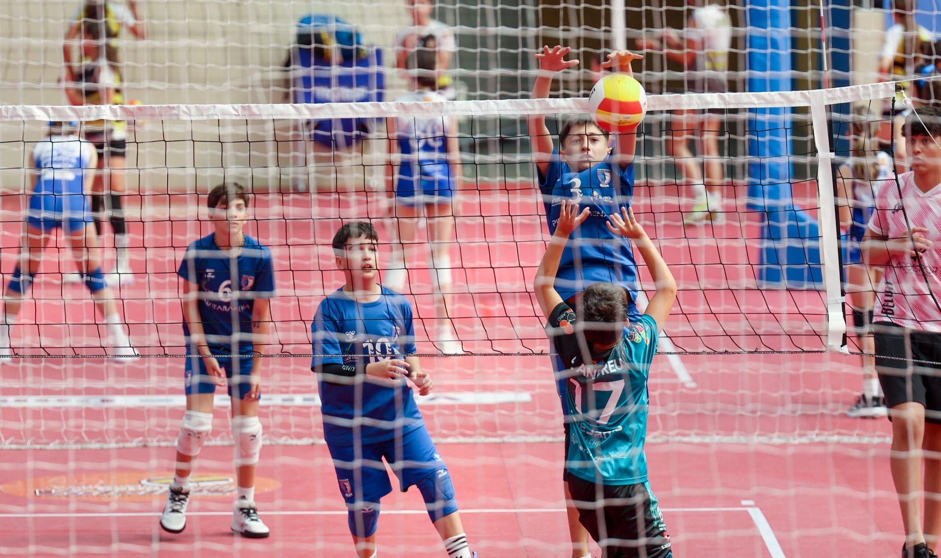 Más de 800 alevines, en el Campeonato de España de Voleibol