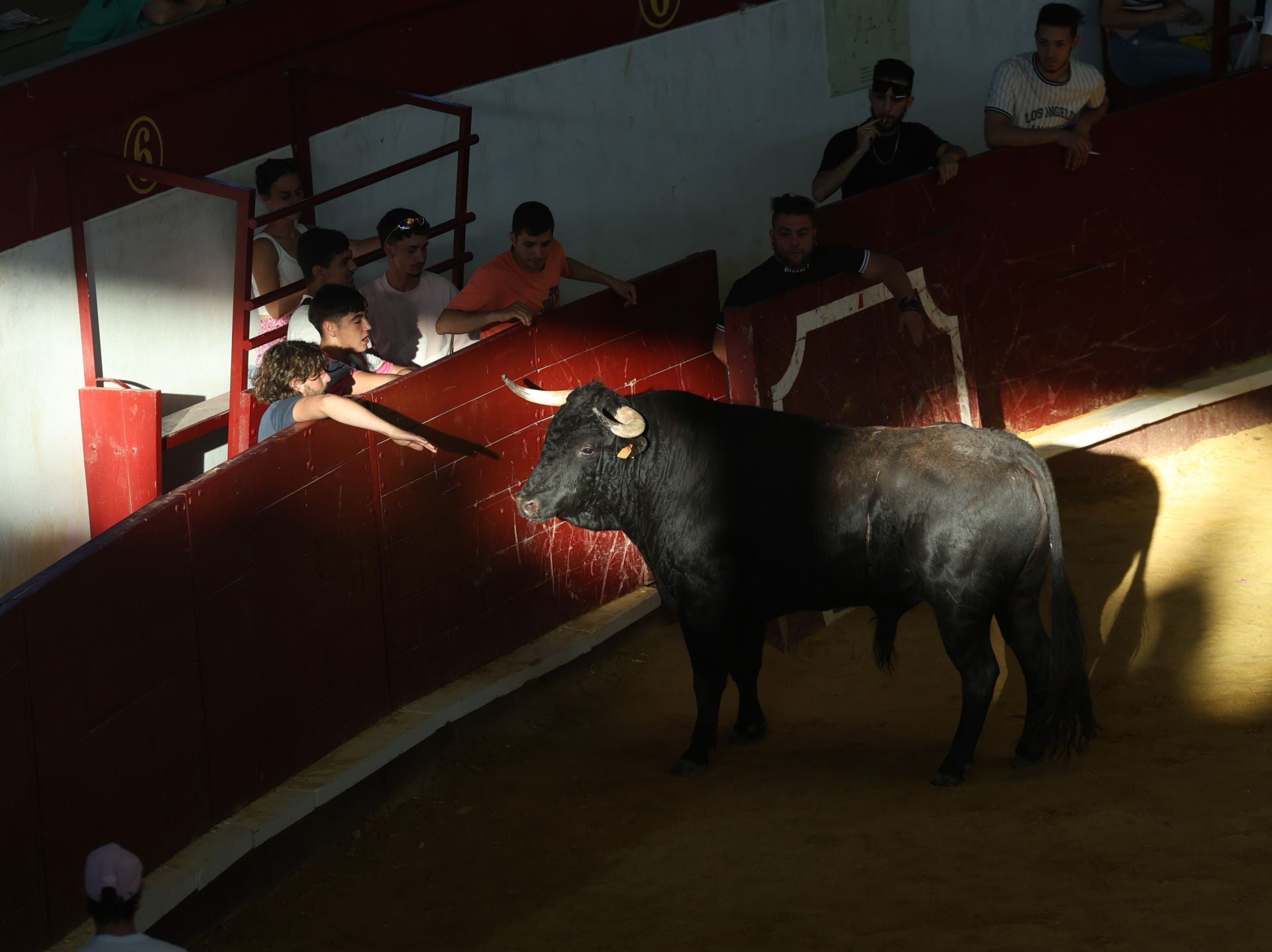 El quinto encierro de Arroyo, en imágenes