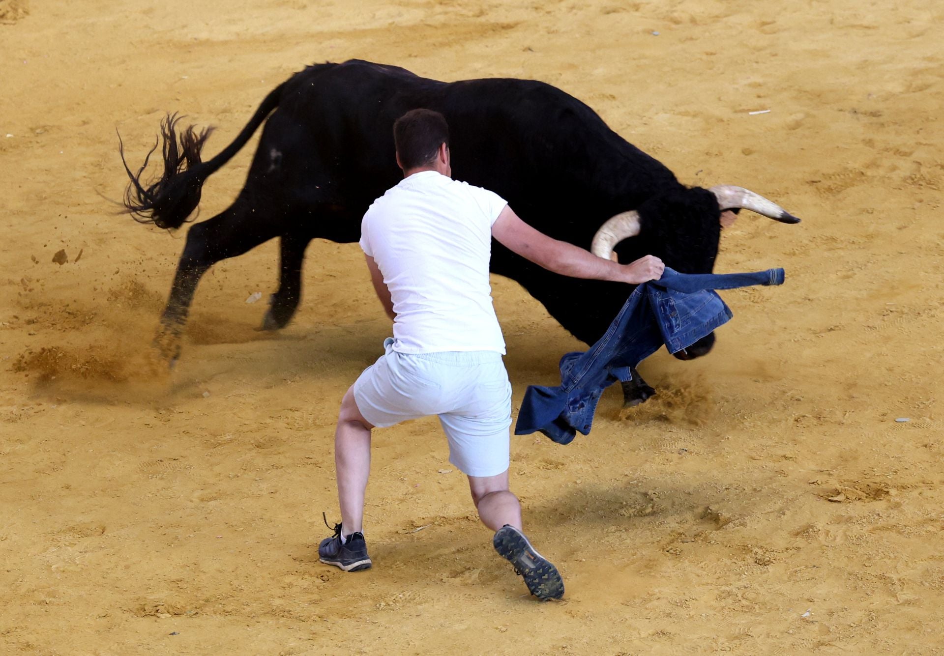 El quinto encierro de Arroyo, en imágenes