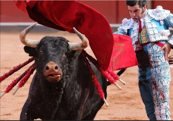 Morante, en Salamanca.