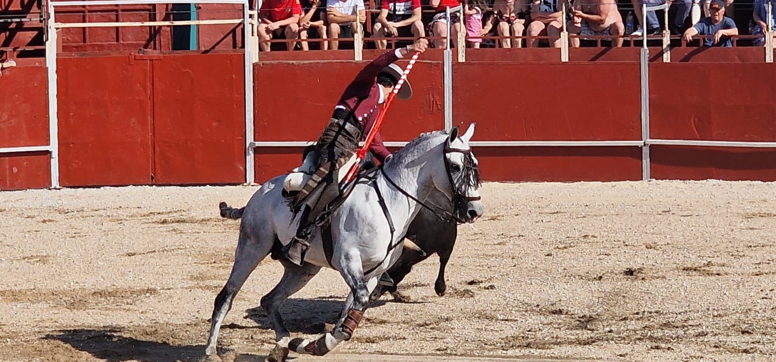 Festival taurino en Guardo