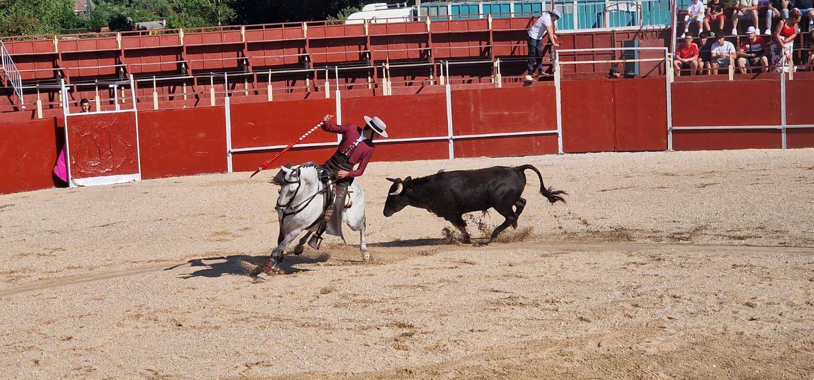 Festival taurino en Guardo