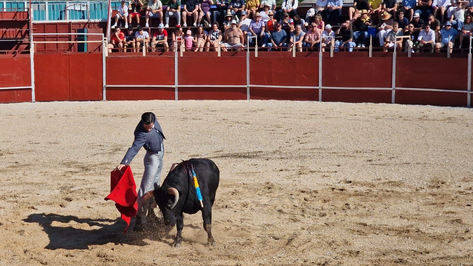 Festival taurino en Guardo