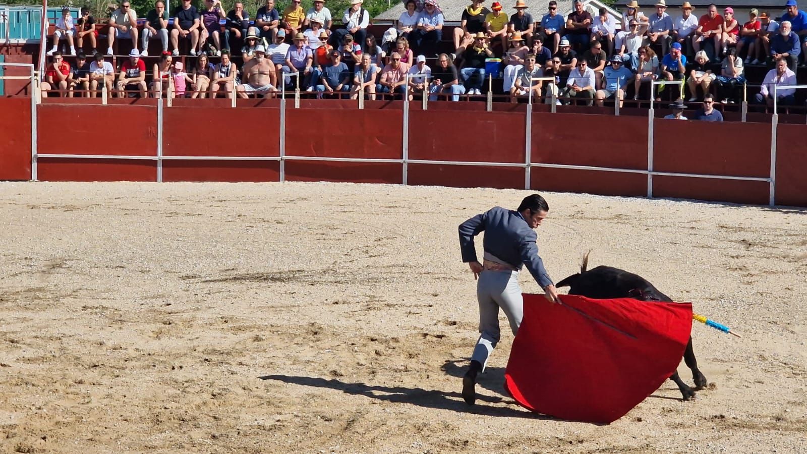 Festival taurino en Guardo