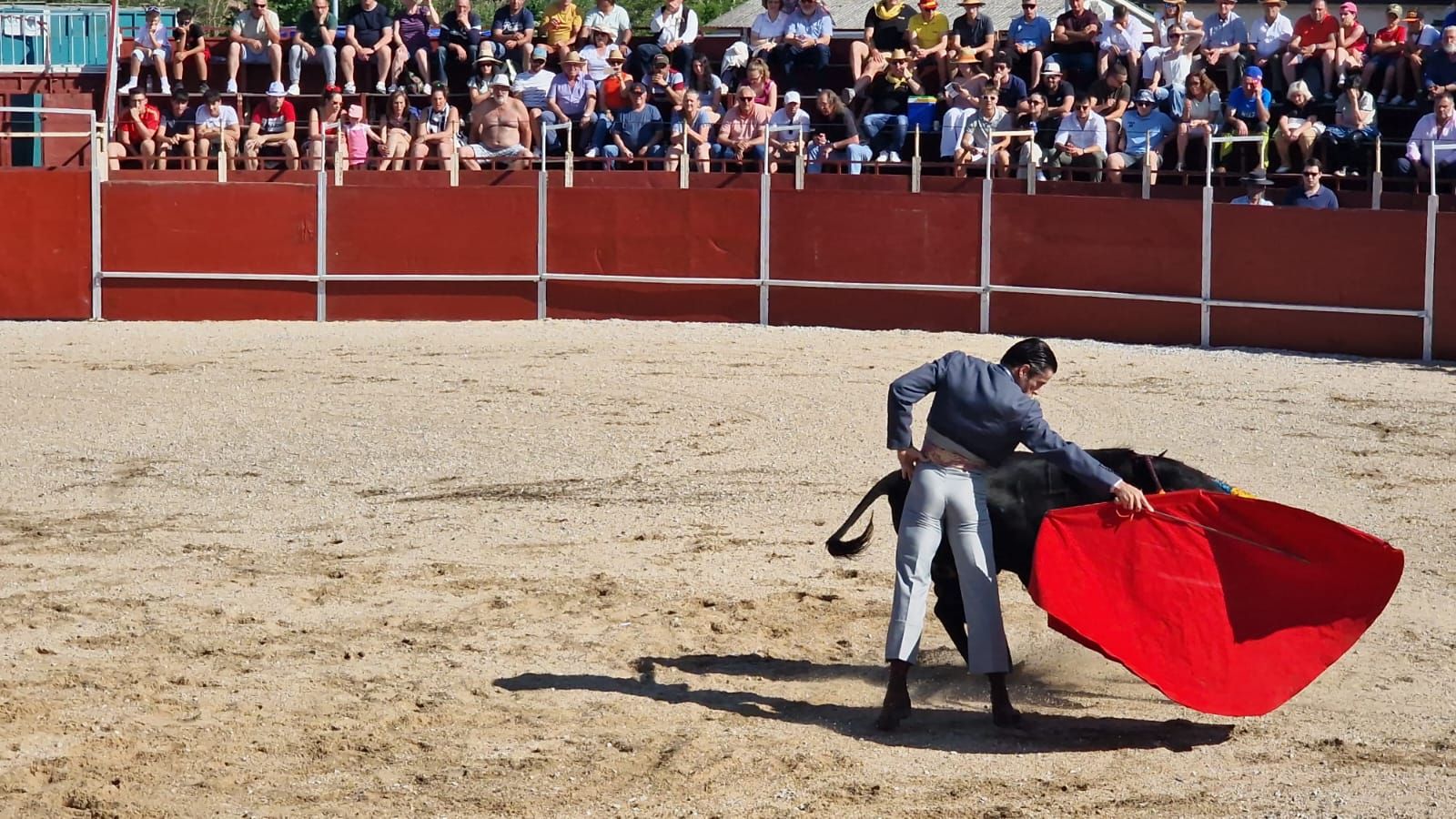 Festival taurino en Guardo