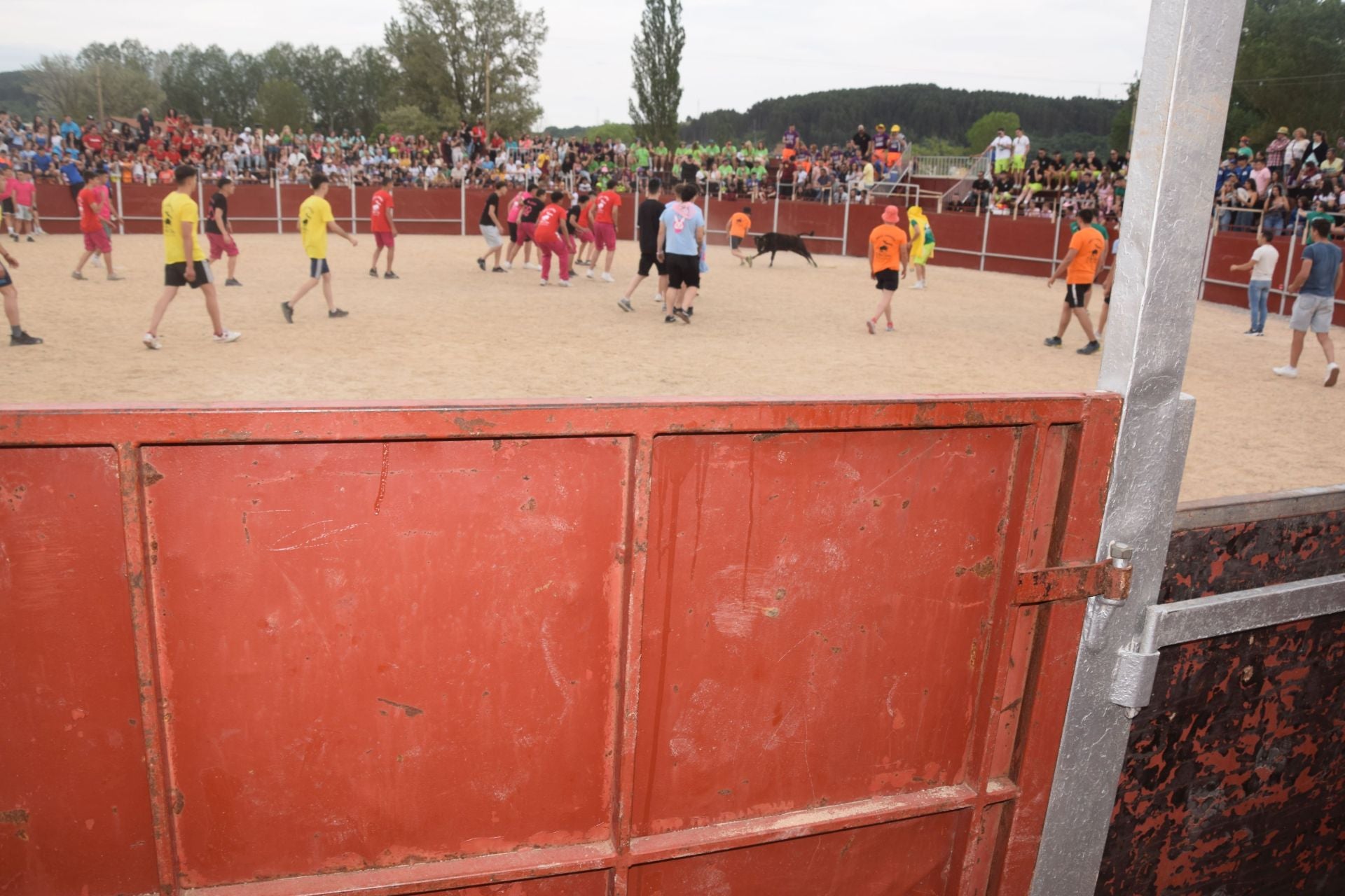 Festival taurino en Guardo