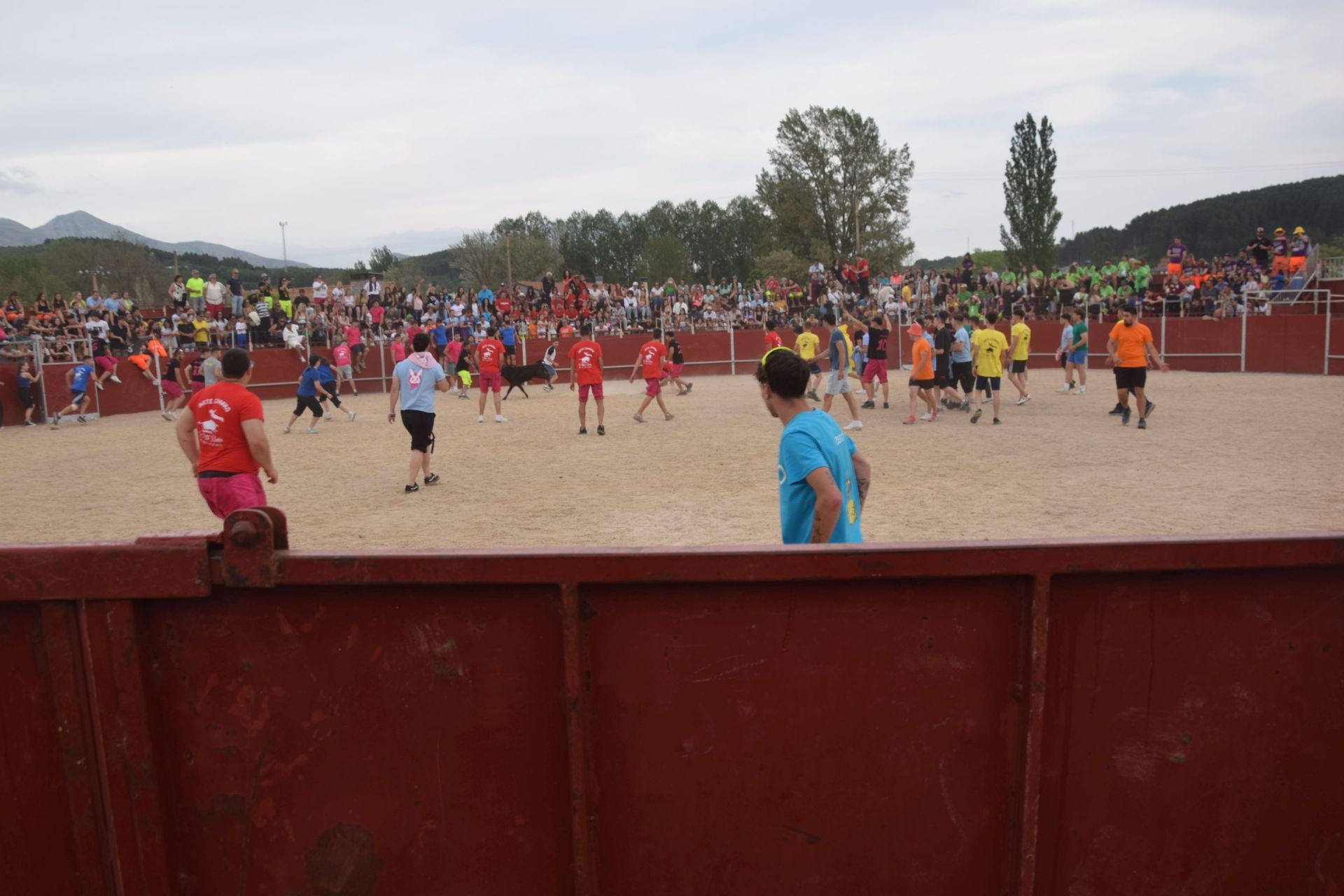Festival taurino en Guardo