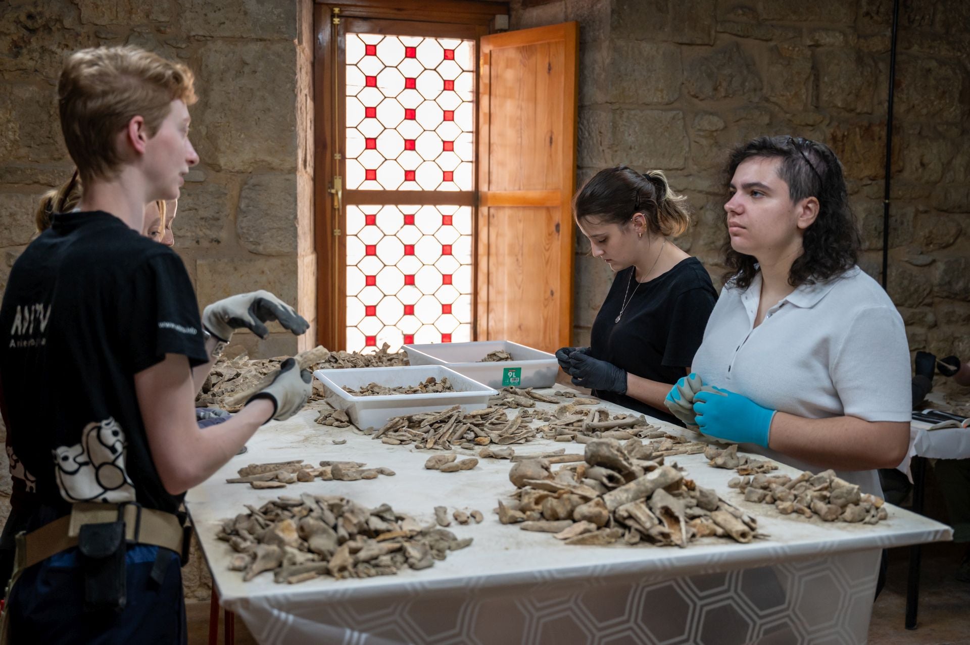 Así se analizan los huesos de la Catedral de Palencia