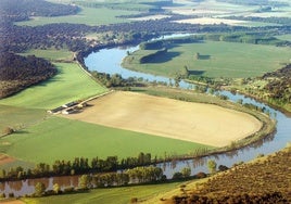 Imagen de archivo de las inmediaciones de la reserva natural de Castronuño.