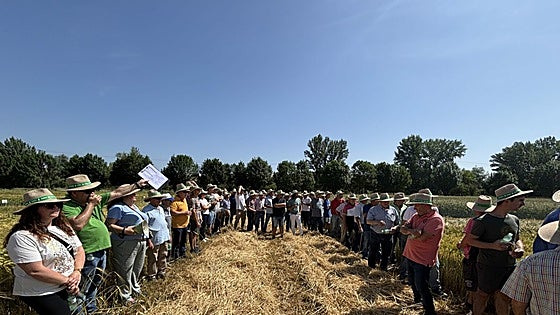 Asaja muestra sus ensayos con 21 variedades de trigo y 26 de cebada