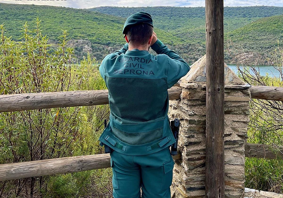 Agente del Seprona, en imagen de archivo.