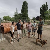 Los impulsores de la iniciativa posan en el parque junto a los tubos para desviar el colector que discurre por el subsuelo.