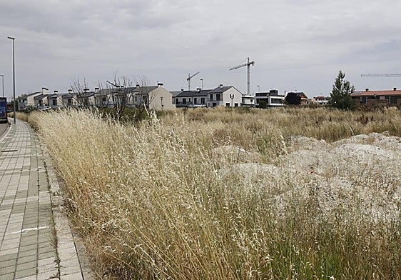 Terrenos del Paseo de la Julia en los que se ha proyectado el hospital privado.