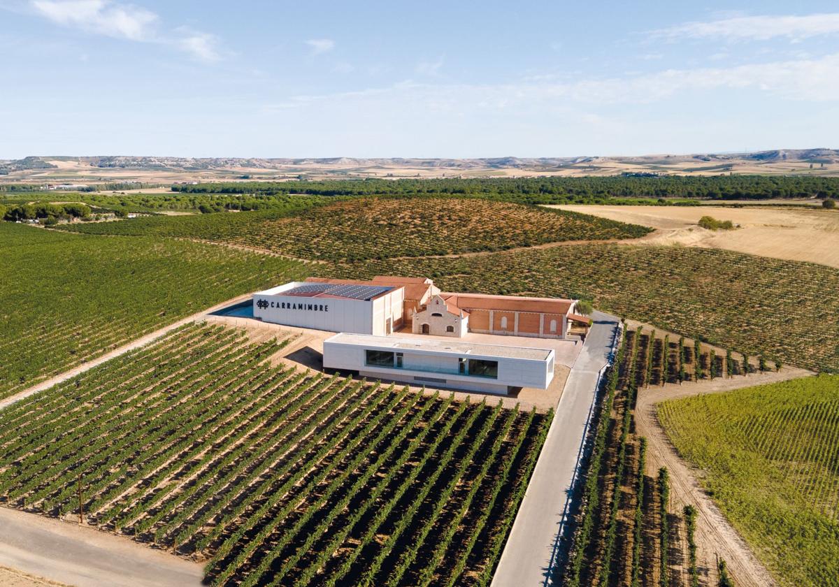 Imagen aérea de la bodega rodeada de viñedos.