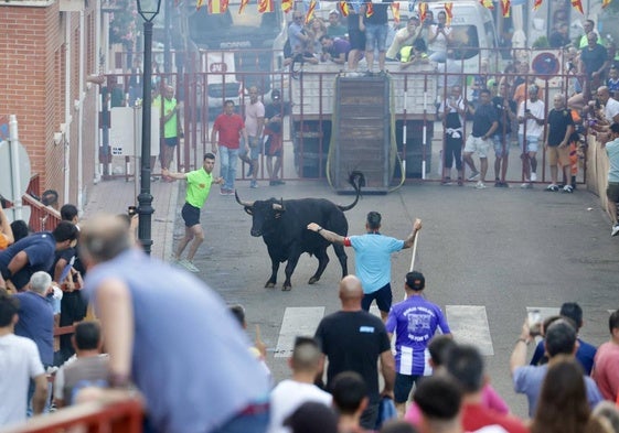 Imágenes del accidentado encierro del Toro de las Peñas celebrado este viernes en Zaratán