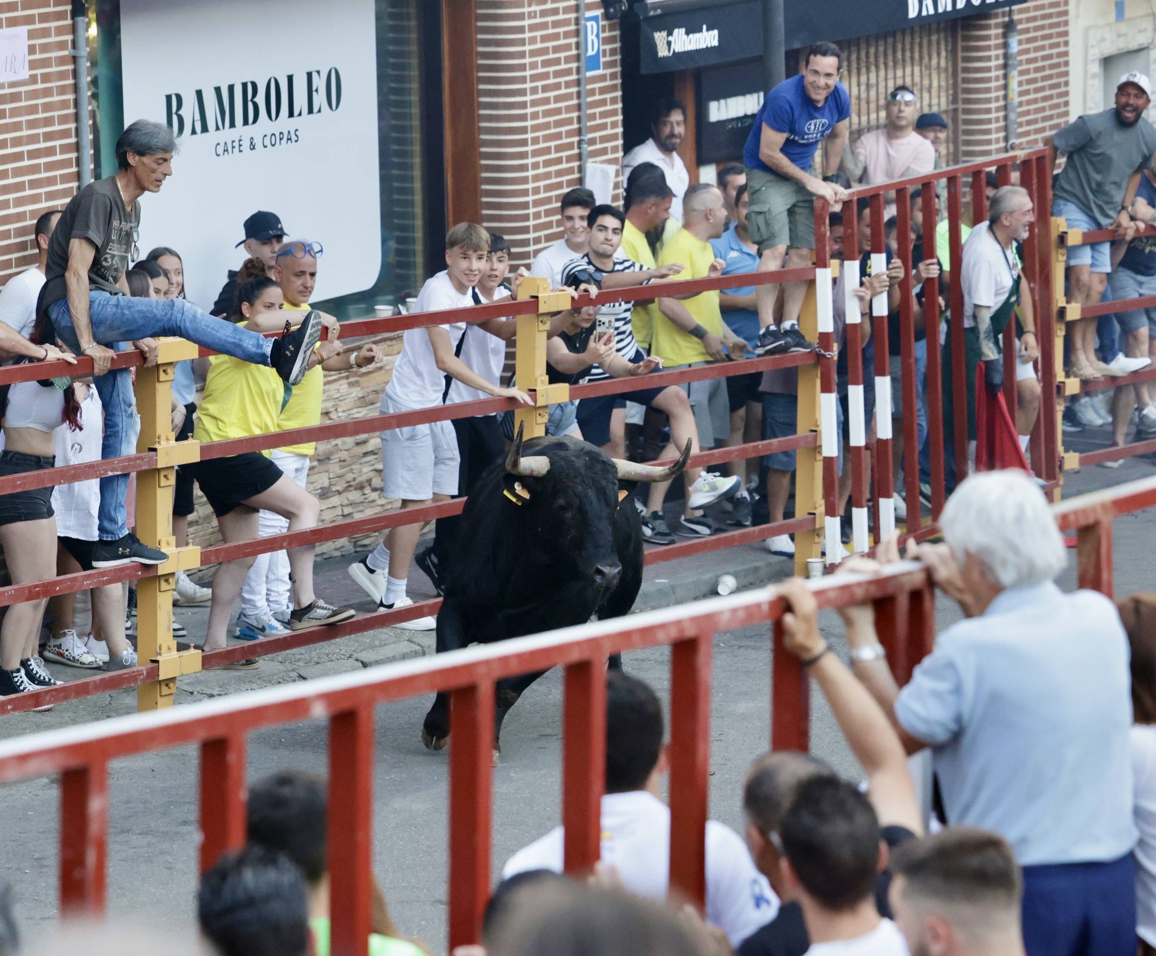 Las imágenes del Toro de las Peñas de Zaratán