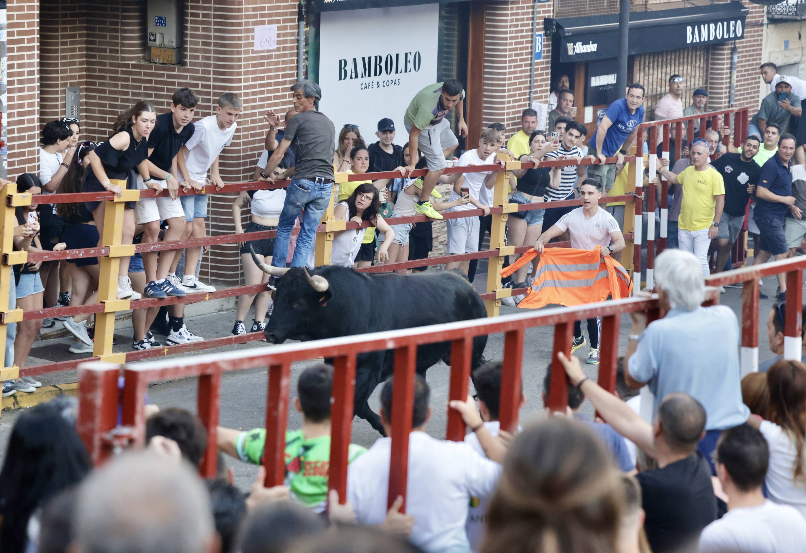 Las imágenes del Toro de las Peñas de Zaratán