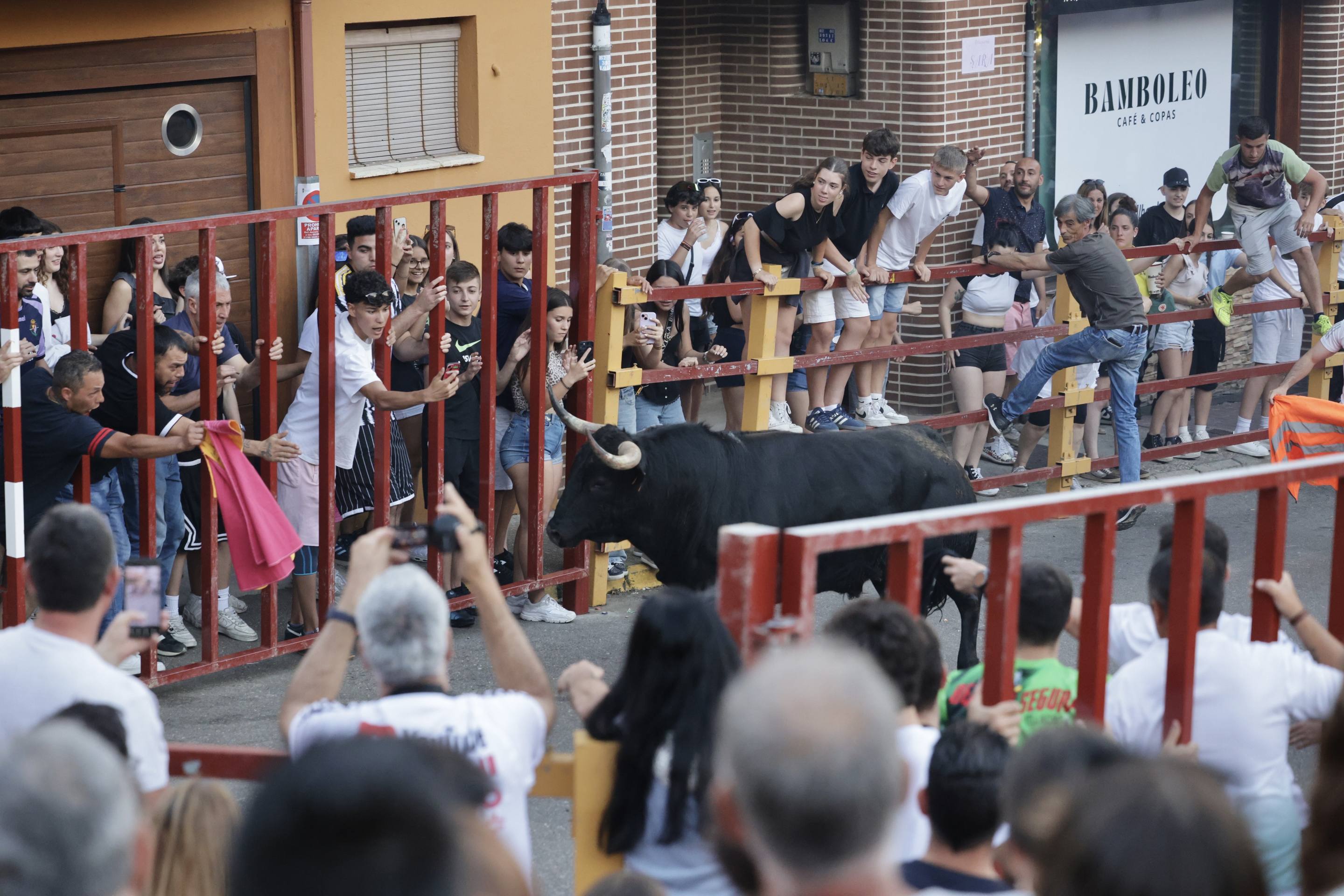 Las imágenes del Toro de las Peñas de Zaratán