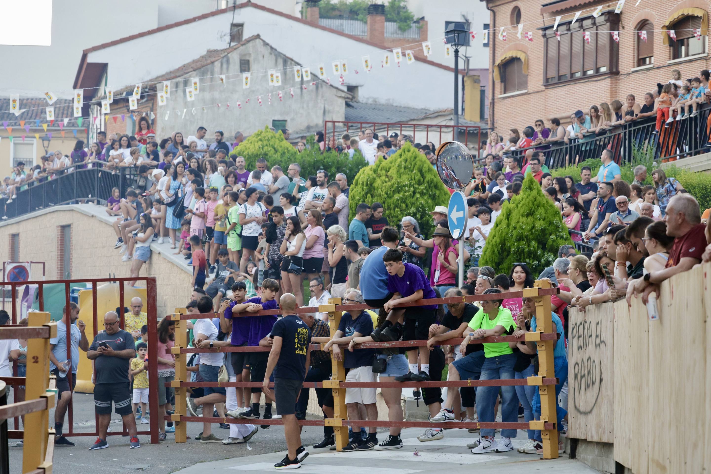 Las imágenes del Toro de las Peñas de Zaratán