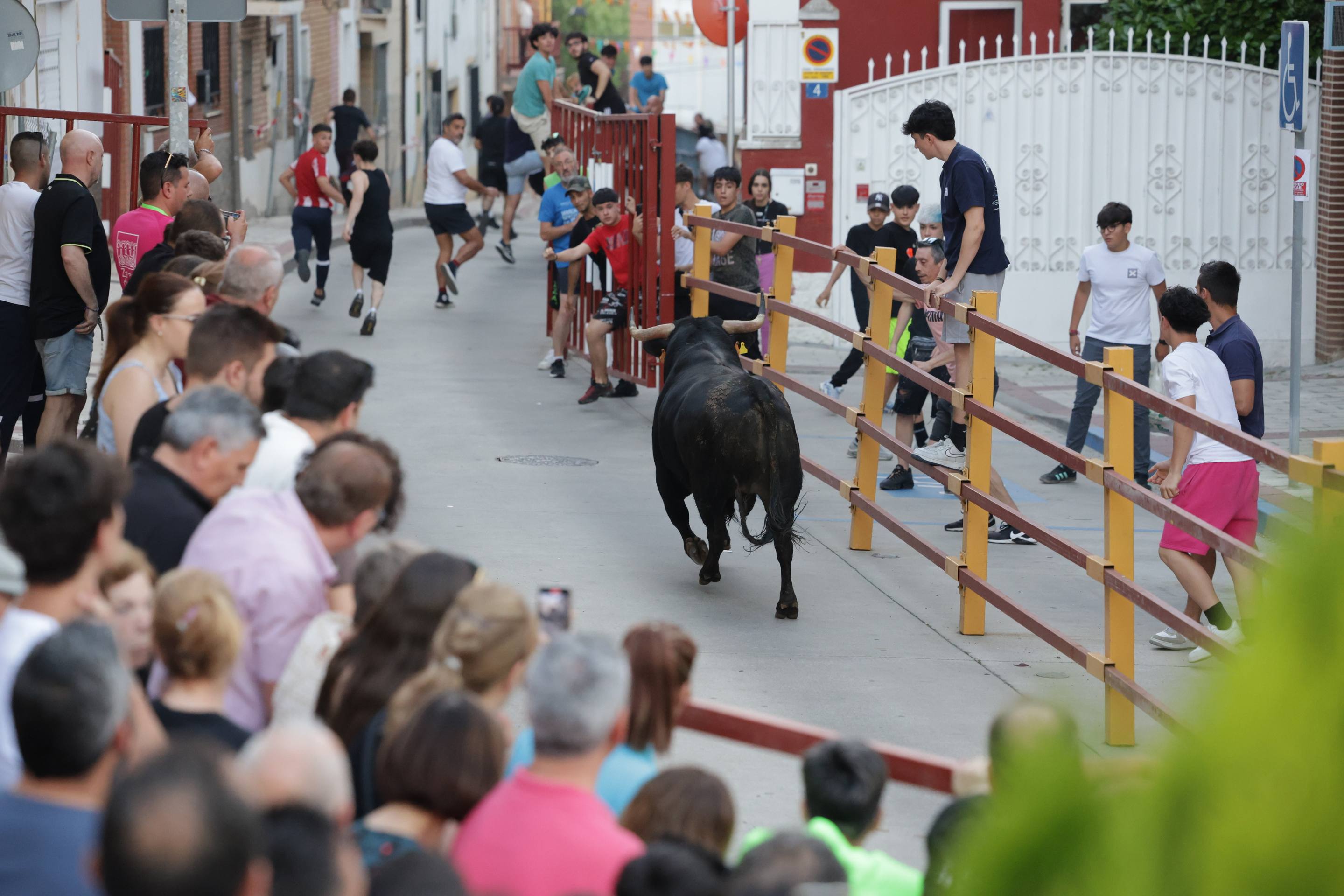 Las imágenes del Toro de las Peñas de Zaratán
