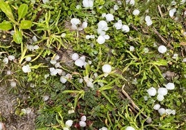 Granizo en Valladolid, en febrero de 2024.
