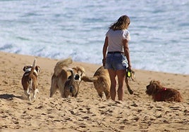 Las doce playas más cercanas a Valladolid para ir con tu perro estas vacaciones