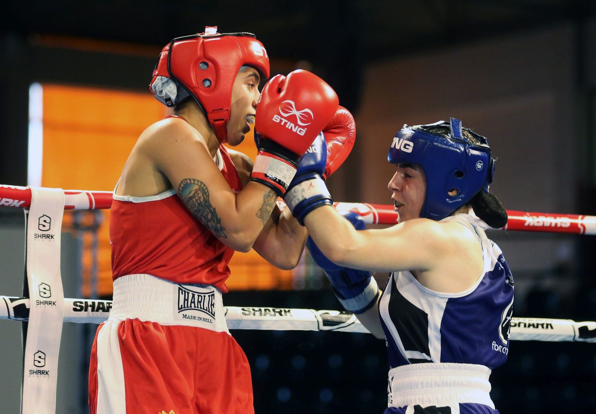 Fotos del campeonato de boxeo en Segovia