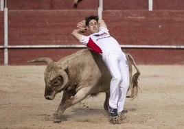 Imágenes de los recortes de la eliminatoria de La Liga de Corte Puro celebrada este sábado en Zaratán