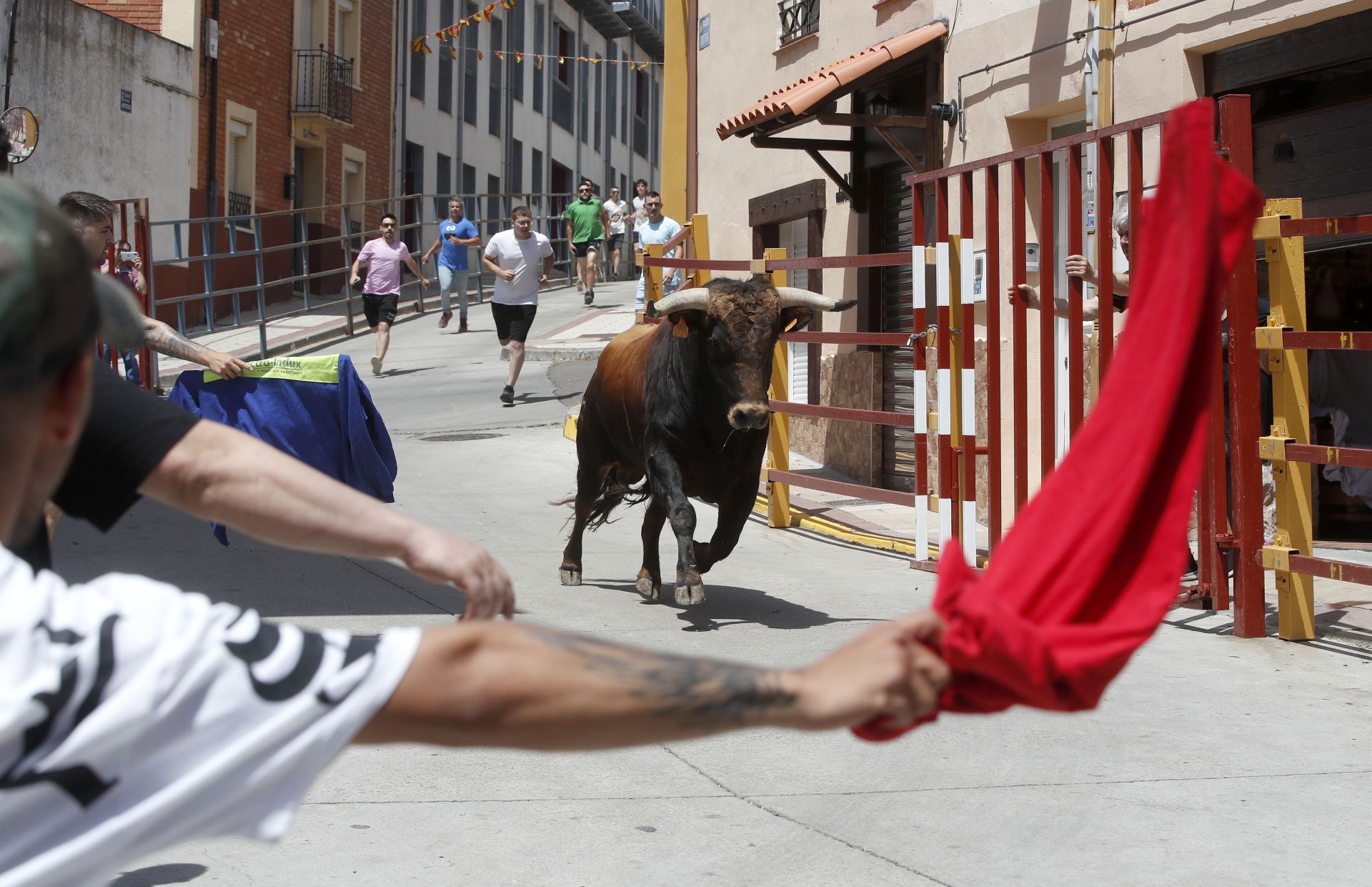 Encierro en Zaratán el día del Corpus
