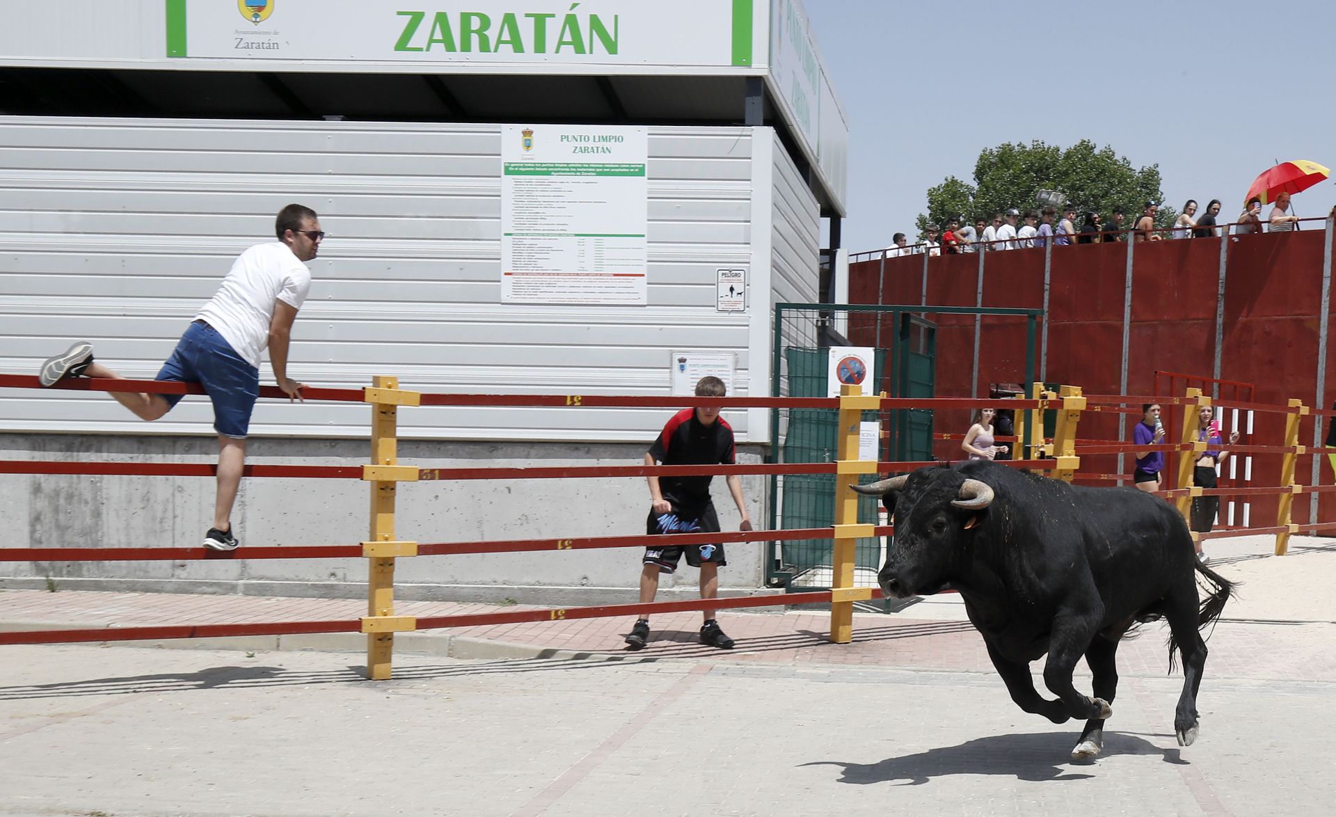 Encierro en Zaratán el día del Corpus