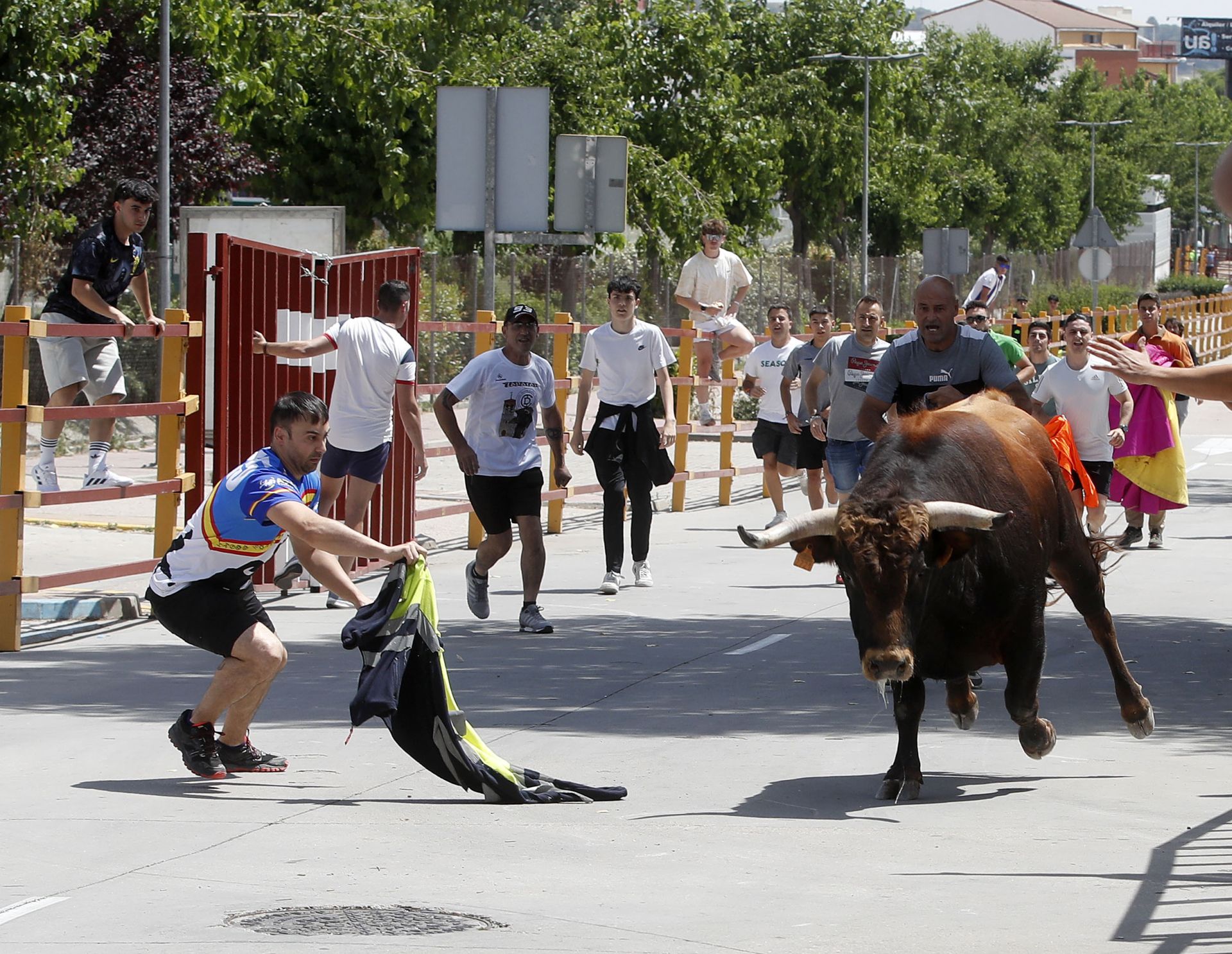 Encierro en Zaratán el día del Corpus