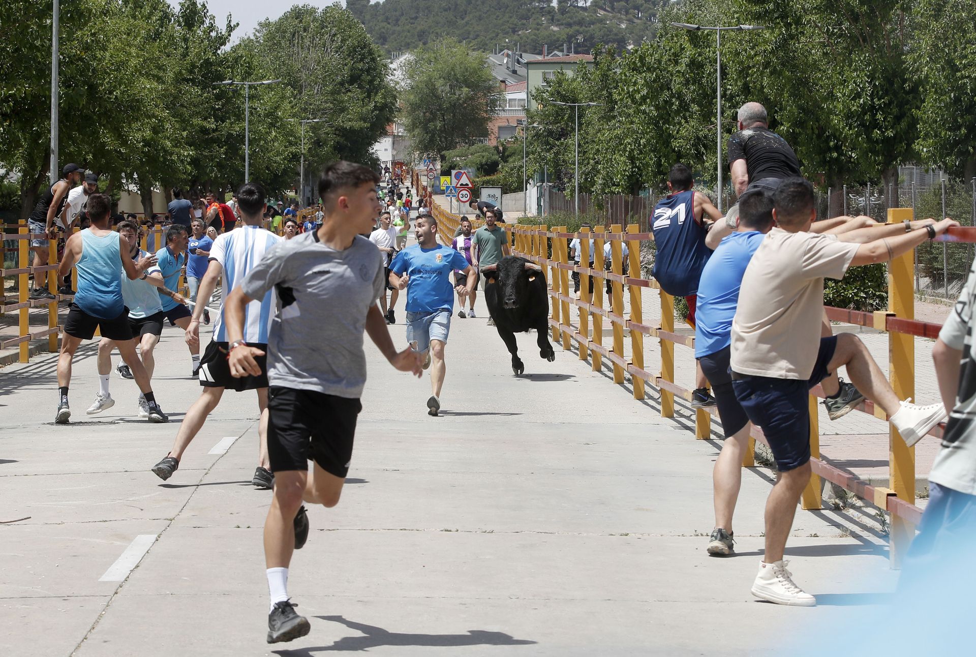 Encierro en Zaratán el día del Corpus