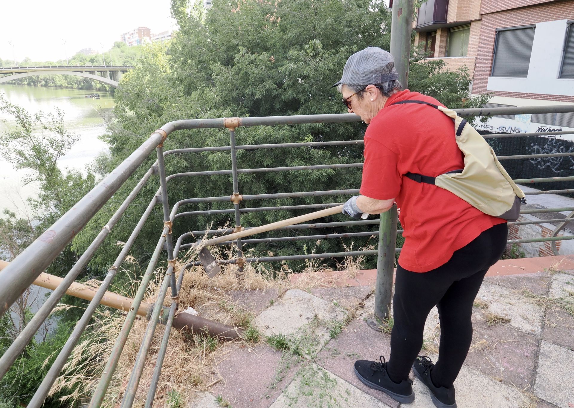 La asociación A. M. A El Pisuerga limpia el nuevo mirador sobre el río