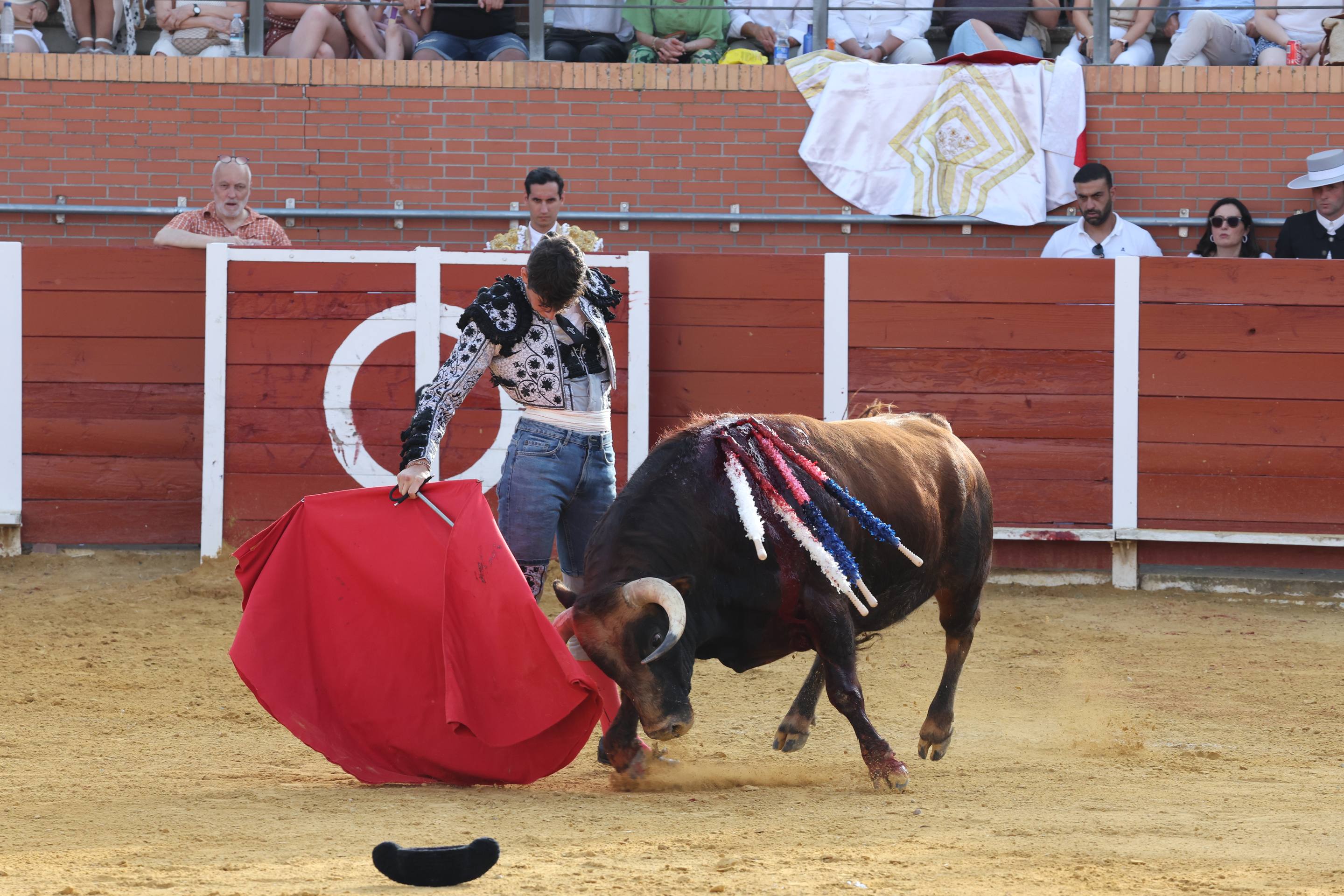 La novillada en Nava del Rey, en imágenes