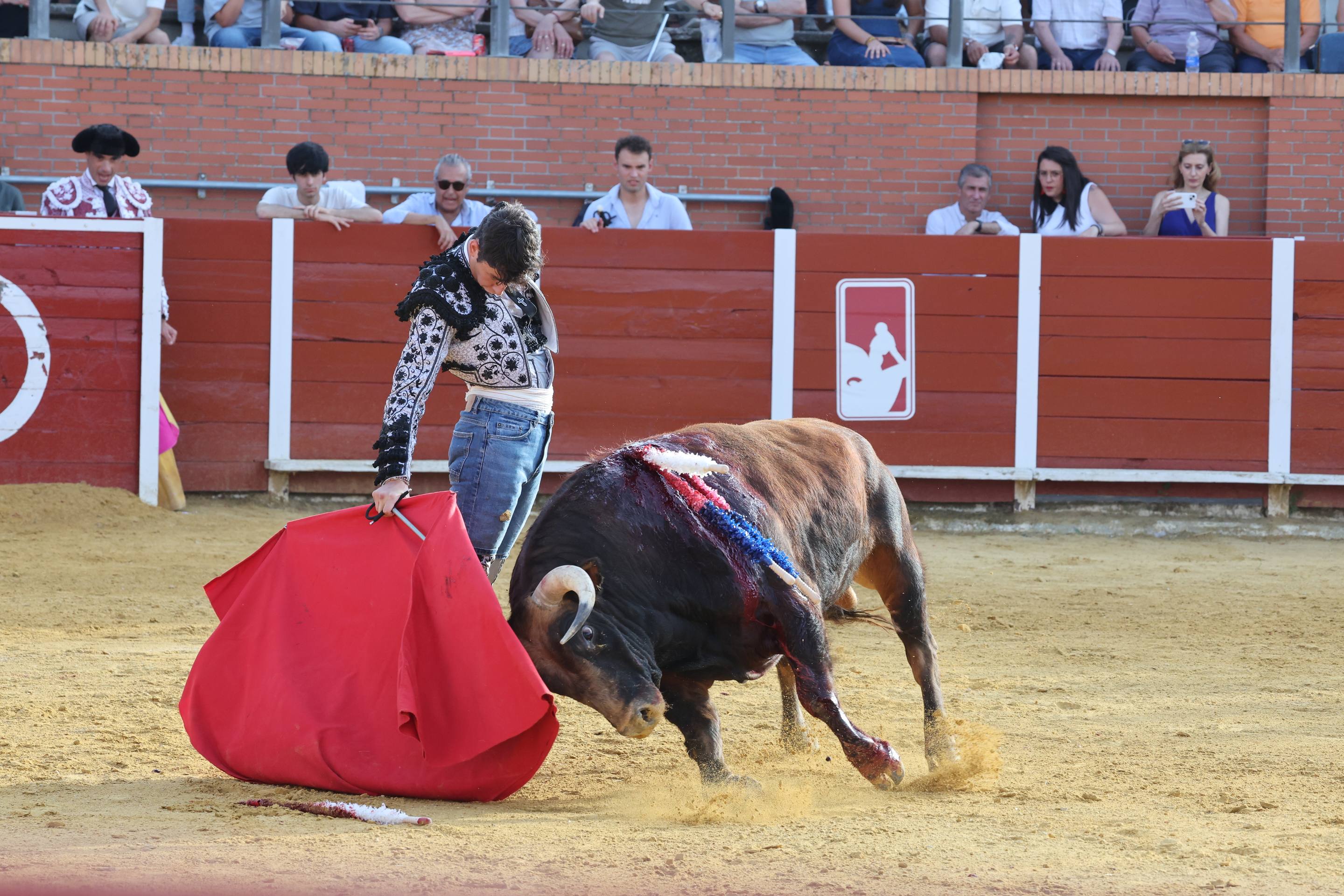La novillada en Nava del Rey, en imágenes