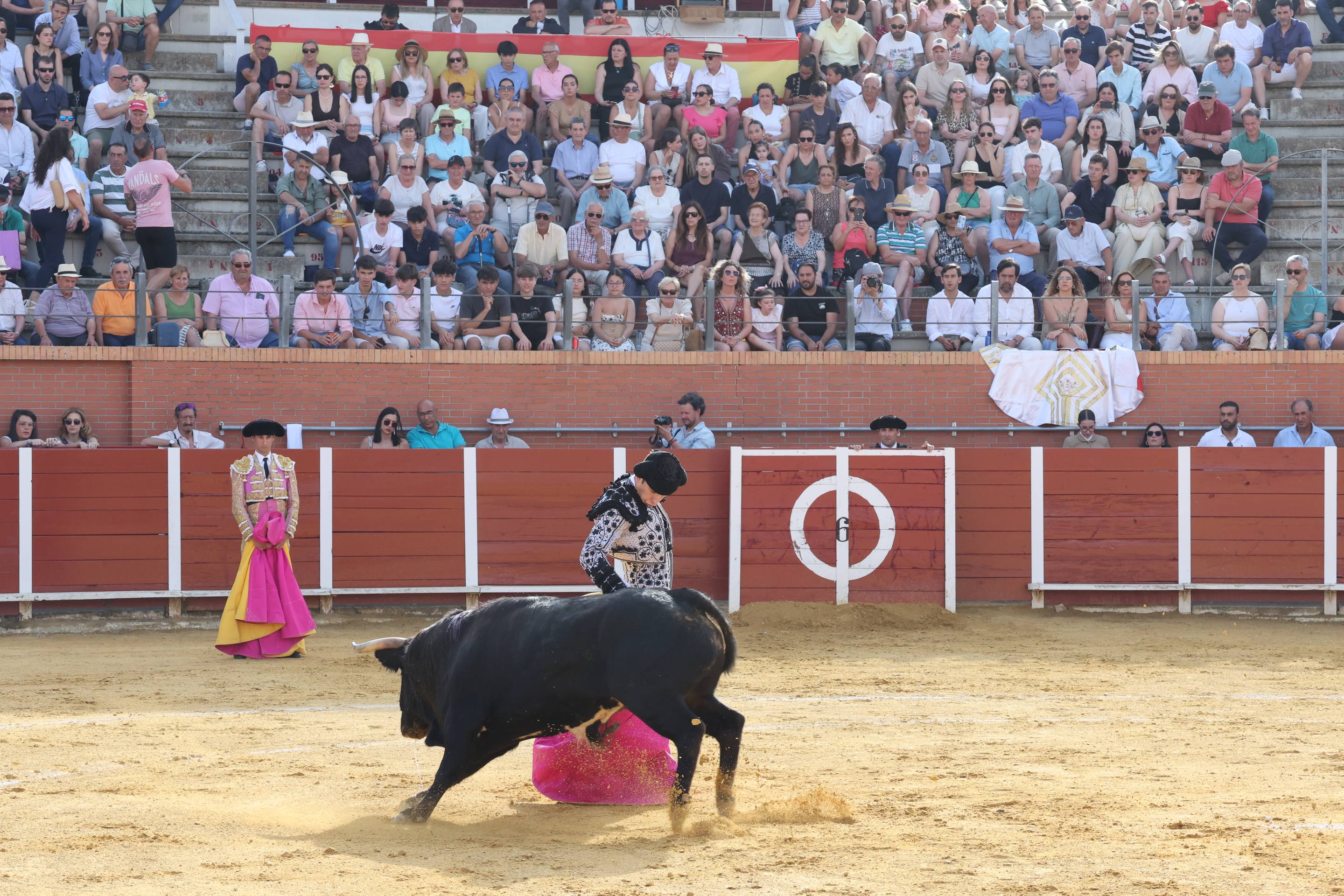 La novillada en Nava del Rey, en imágenes