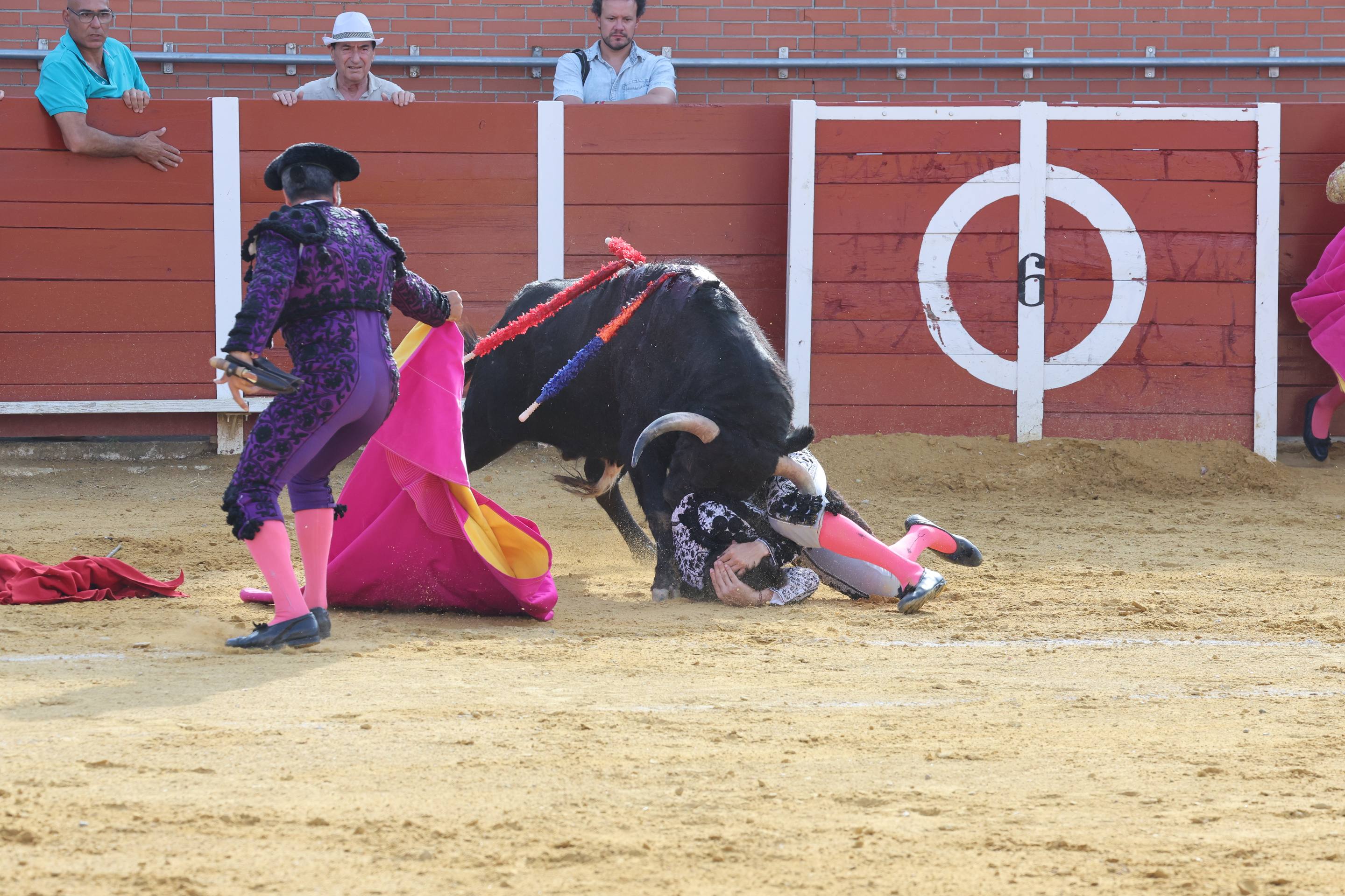 La novillada en Nava del Rey, en imágenes