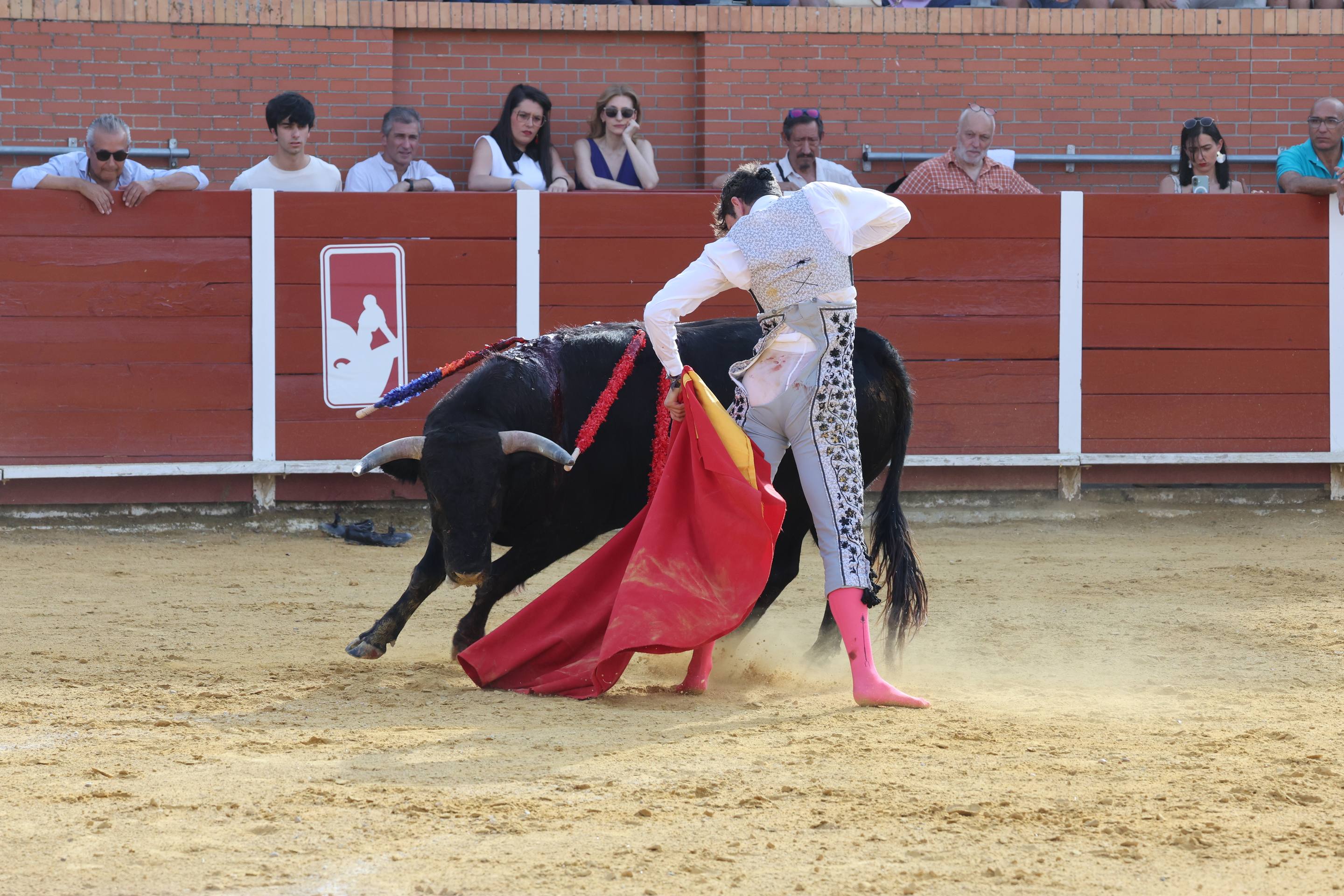 La novillada en Nava del Rey, en imágenes